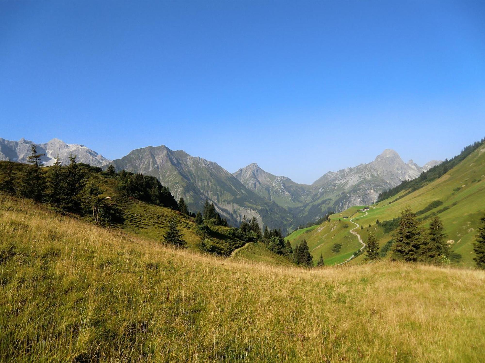 Haus Rothorn Apartment Schrocken Bagian luar foto